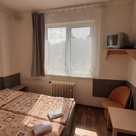 Hotel Orovsky *