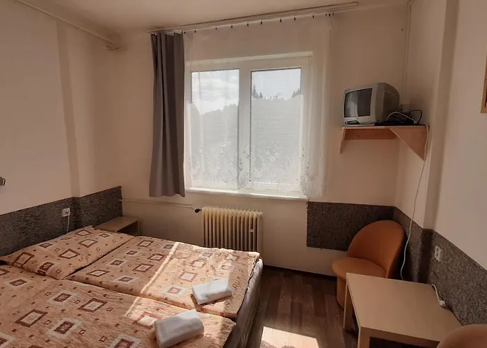Hotel Orovsky *