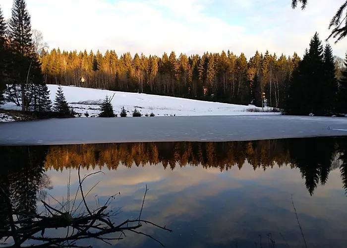 Orovsky Hotel Železná Ruda